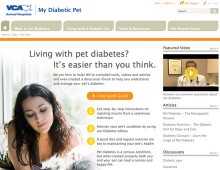 VCA Hospitals – Pet Diabetes